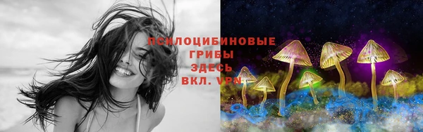соль ск Навашино