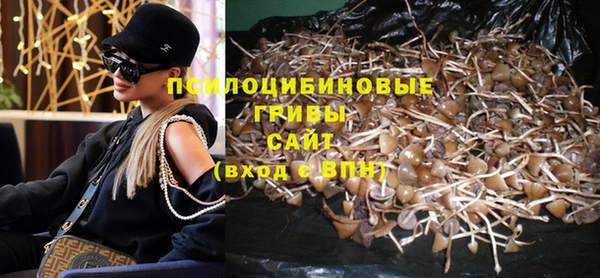 соль ск Навашино
