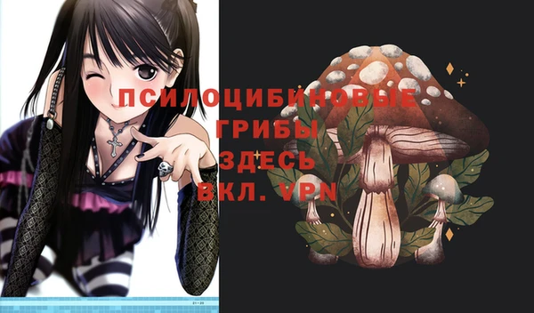 соль ск Навашино