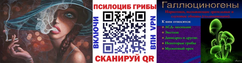 Галлюциногенные грибы мицелий  hydra ссылка  Чегем 